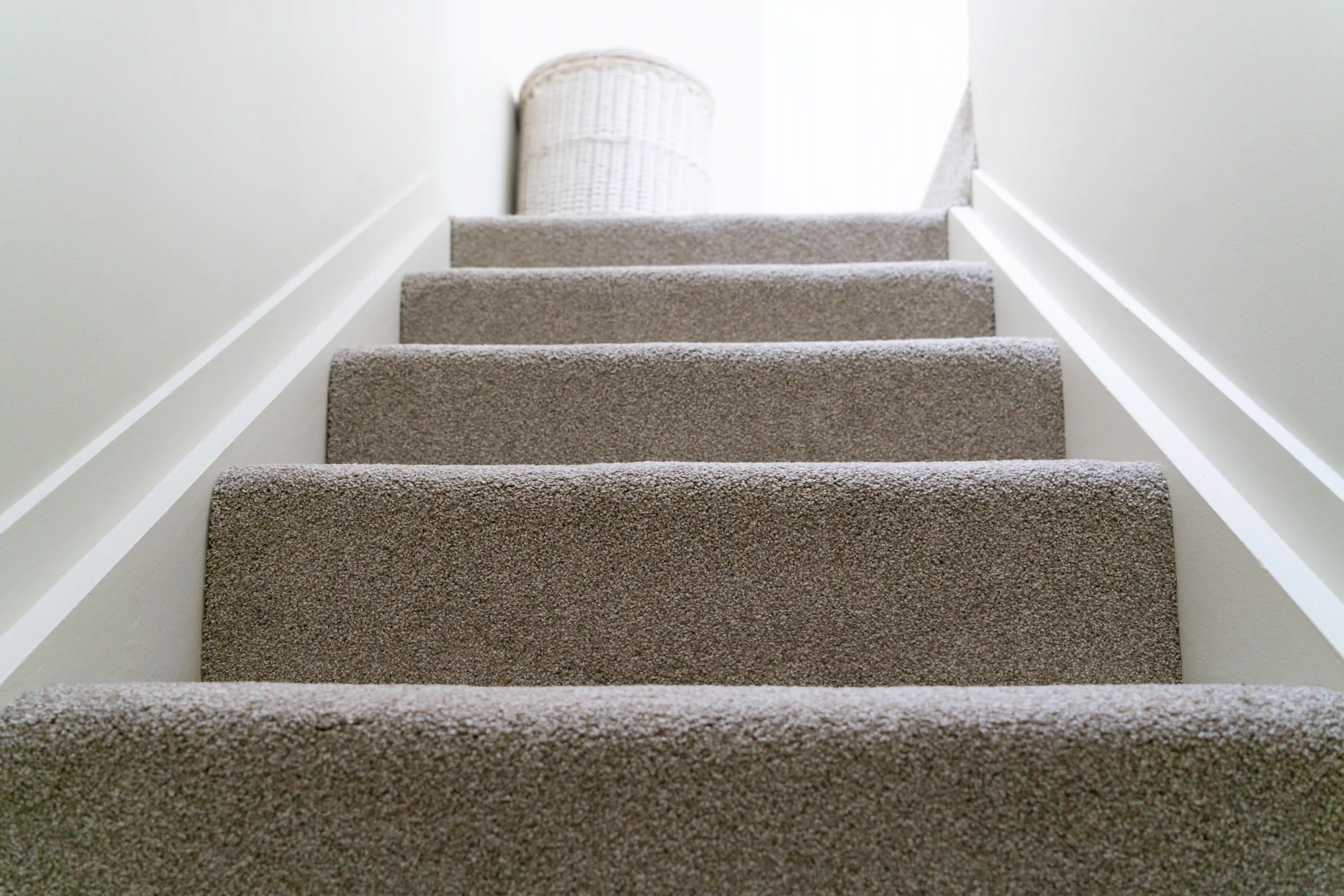 Soft luxury carpet adding warmth to a living room